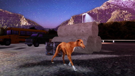 Greyhound Dog Simulator