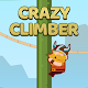 Crazy Climber