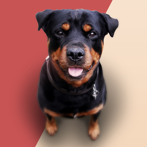 Barking Dog Sounds Ringtones  Icon