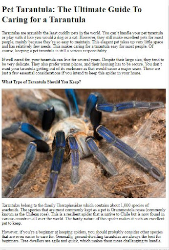 Pet Tarantula Care Guide Screen 2