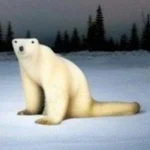 Polar Bear 2026