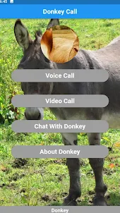 Donkey call simulator