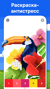 Pixel Art: Раскраска по цифрам 1