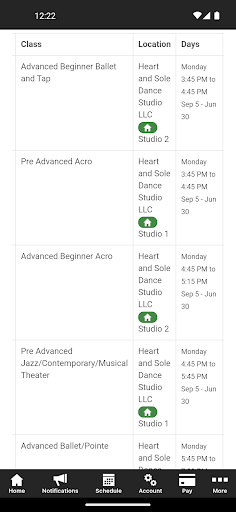 Heart and Sole Dance Studio Screen 3