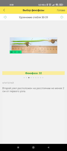 Помощник агронома 1С:ERP АПК 2 Screen 3