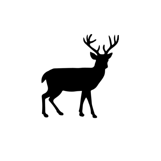 Hirsch Apotheke Wusterwitz