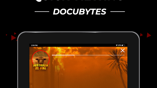 DocuBay – Streaming Documentar Gallery 9