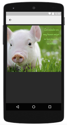 Imagenes Bonitas Screen 3