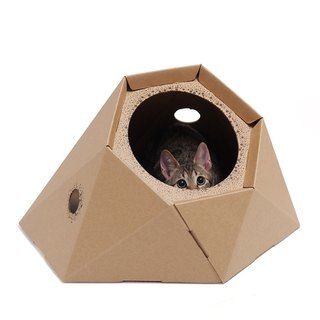 Cat House Screenshot 4 - AppWisp.com