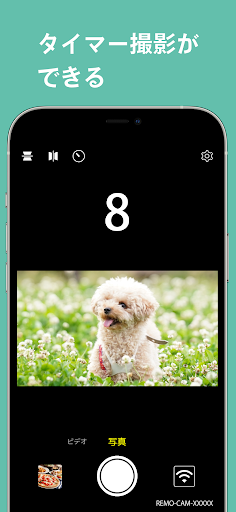 Remo Came Screen 2