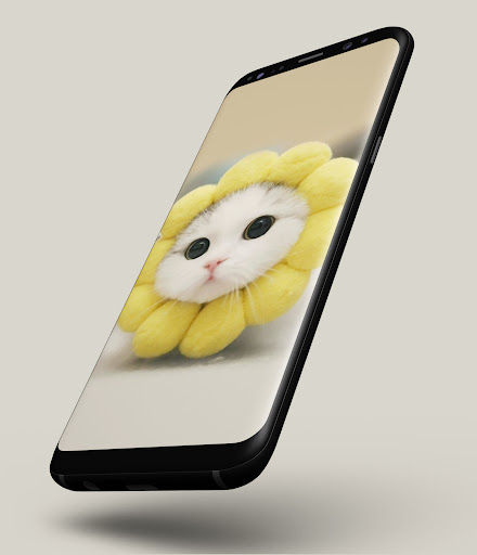 Android application Cat Wallpapers screenshort