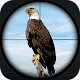 Bird Hunter Sniper Shooting 3D Descarga en Windows