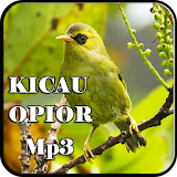 Kicau Burung Opior Lengkap Mp3 icon