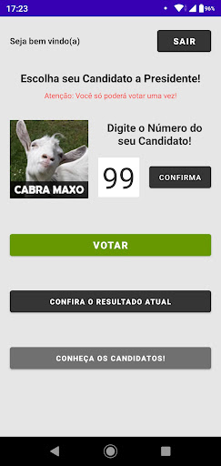 Elections BR Screen 3