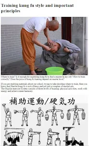 How to Do Kung Fu Training
