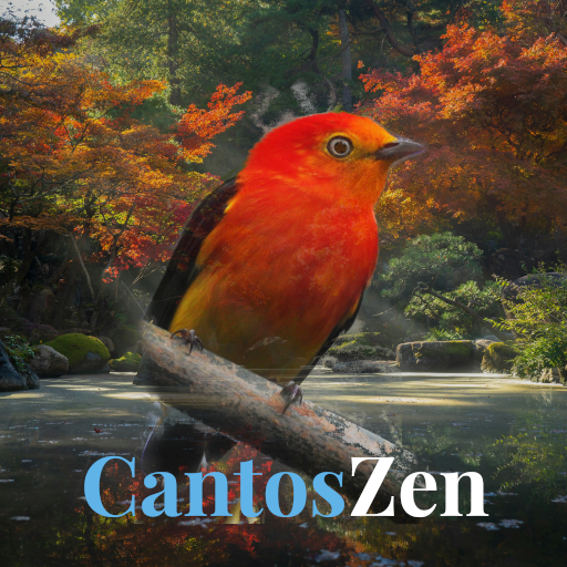 Cantos de Pássaros - CantosZen 1.1 Icon