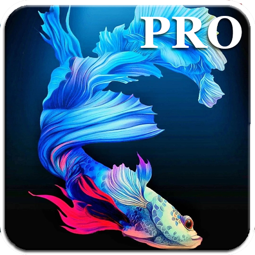 Fish Wallpapers Live PRO - Apps on Google Play