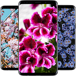 Cover Image of Download Flower HD Wallpapers 2022  APK