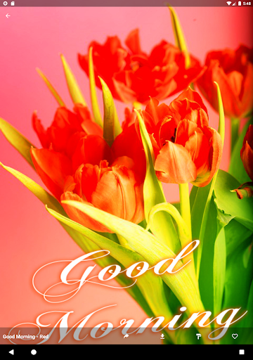 Good Morning / Good Night