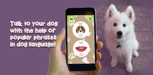 Dog Language Translator - Woof - Apps On Google Play