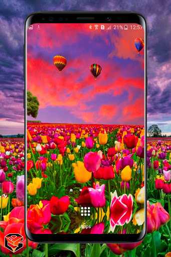 Flower Fields Live Wallpaper Screen 3