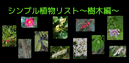 シンプル植物リスト 樹木編 Google Play のアプリ