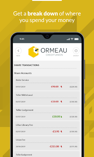 Ormeau Credit Union Screen 3