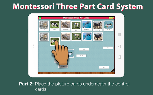 Montessori Three Part Cards - Screen 3