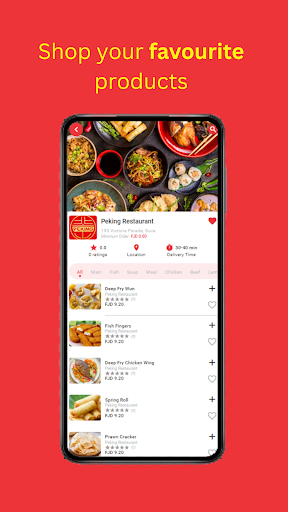 Cyber Food Fiji Screen 3