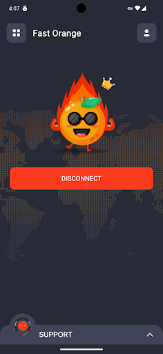 FastOrange VPN Screen 3