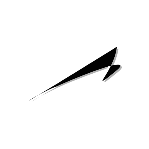 Ben Palocko Fitness logo