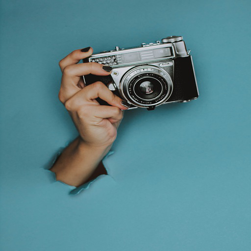 WallCam logo