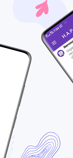 Anatomy and Physiology II Notes