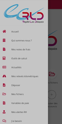RLD Expert-Comptable Screen 2