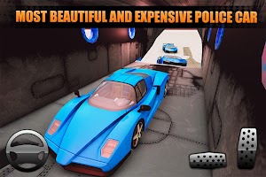 US Police City Car Transport Truck 3D