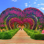 Cover Image of Baixar حديقة الزهور دبي  APK