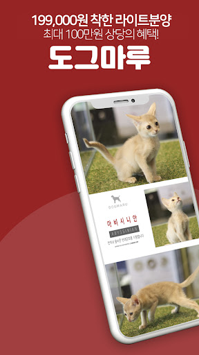 Android application 강아지분양 고양이분양 최저가분양 도그마루라이트 screenshort