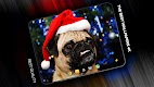screenshot of Funny wallpapers