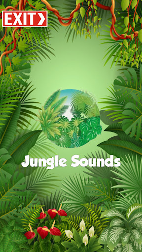 Jungle Sounds Effects 3D