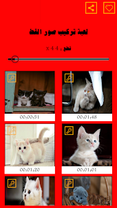 لعبة لغز تركيب صور القطط الجمي