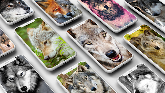 Wolf Wallpaper Apps On Google Play