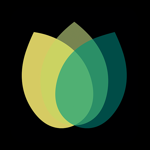 Presbiteriana Pinheiros logo
