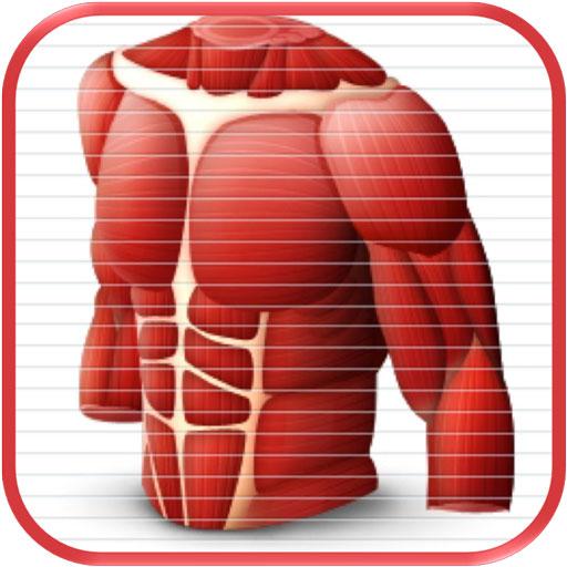 Anatomy Comprehensive Review L 1.0 Icon
