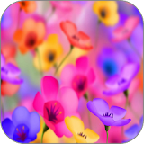 Animated Flowers HD Wallpaper icon