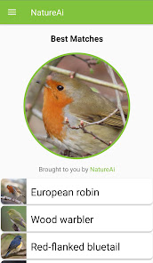 Captura 3 European Bird Identification - android