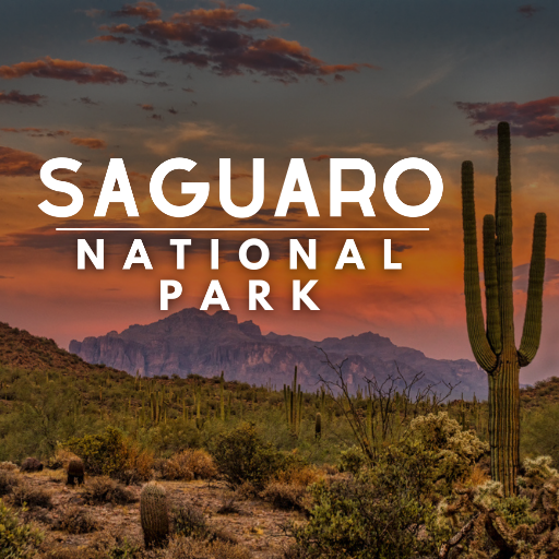 Guía de viaje al Parque Nacional Saguaro en Arizona