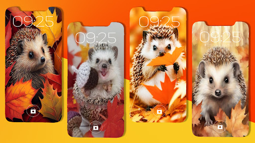 Cute Hedgehog Wallpaper Screen 3