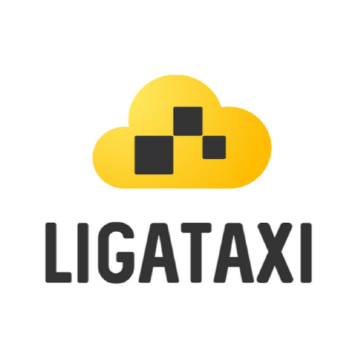 Волонтёр водитель Украина logo