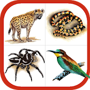 Top 28 Books & Reference Apps Like Wildlife Southern Africa - Best Alternatives