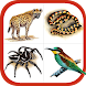 Wildlife Southern Africa - Androidアプリ